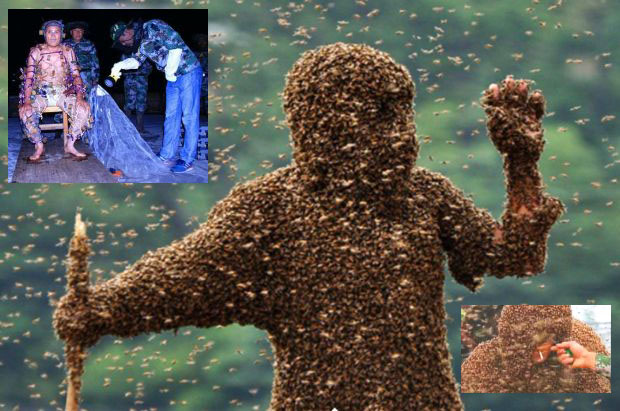 1 Million Bee Coat World Record For Chinese Beekeeper With Videos Bangkok Post Learning